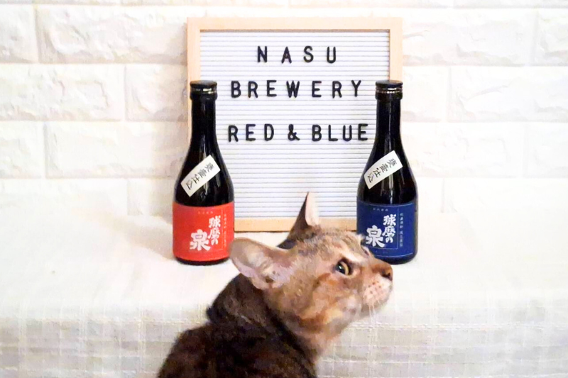 猫と球磨焼酎とNASU　BREWERY RED & BLUEのロゴ入りボードの写真