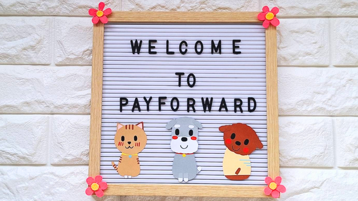 WELCOM TO PAYFORWARDのロゴと犬と猫の切り絵がボードに貼られた画像