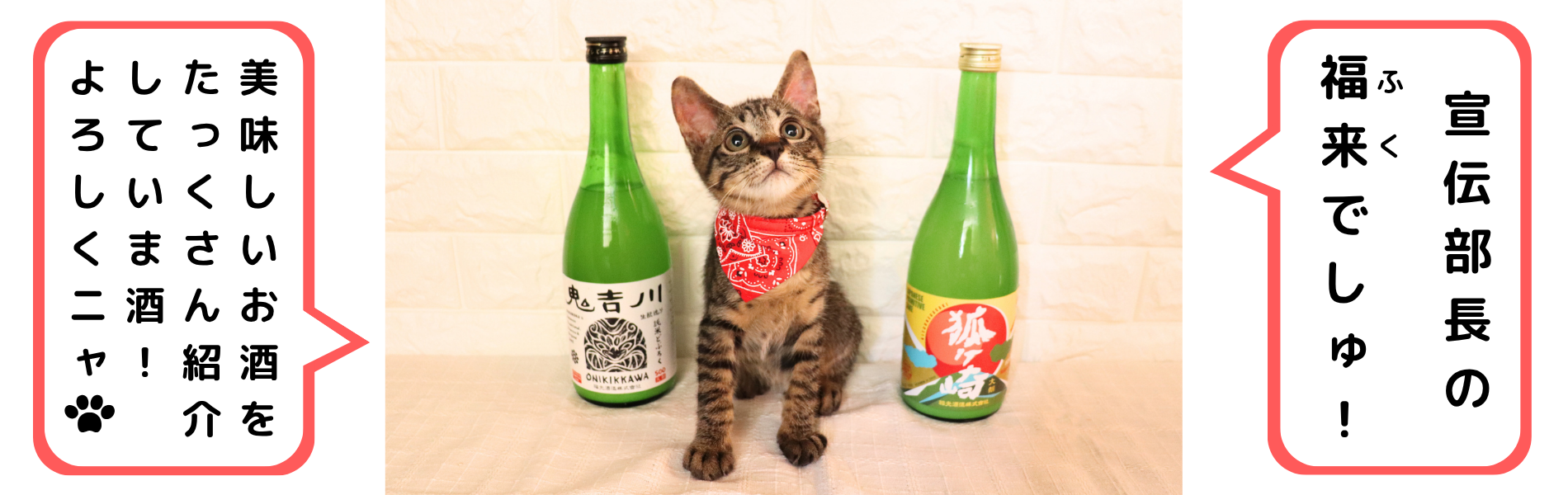 猫とお酒の写真と吹き出しで自己紹介している画像