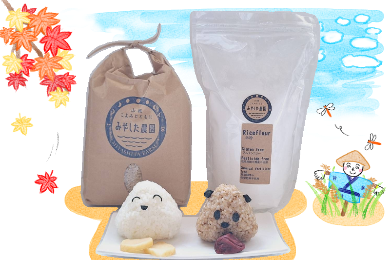 お米、米粉、おにぎりの写真とイラスト画像