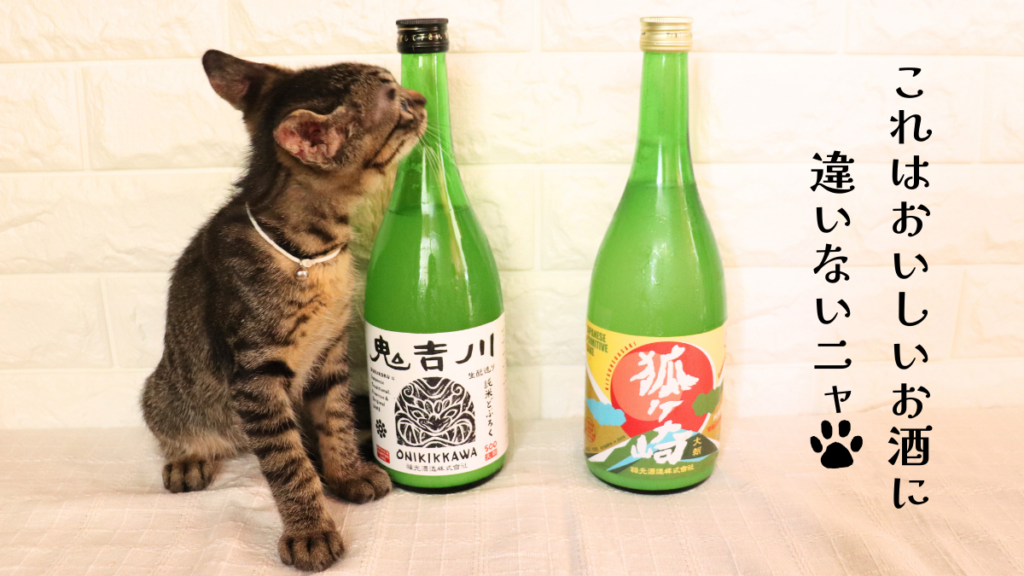 生酛造り純米生どぶろく 鬼吉川とワイン酵母純米生どぶろく 狐ヶ崎と猫の画像